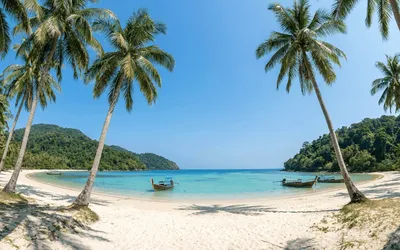 Exploring Koh Kradan: How to Get There by Ferry and What to Do